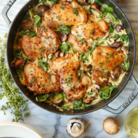 One Pot Chicken and Mushroom Orzo